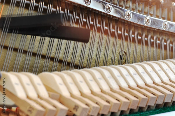 Obraz Adjusting piano pitch