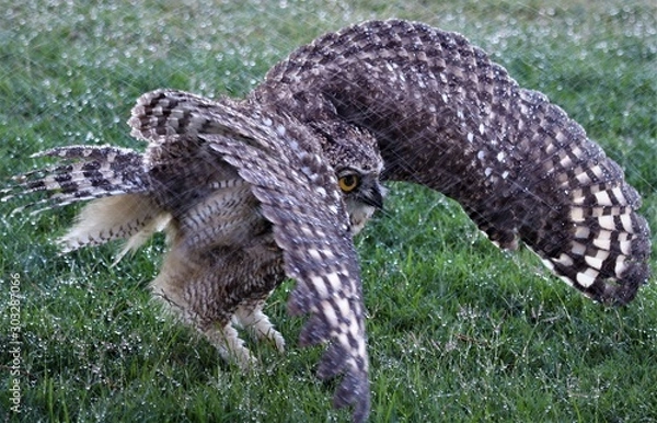 Fototapeta Jacobsbaai 6