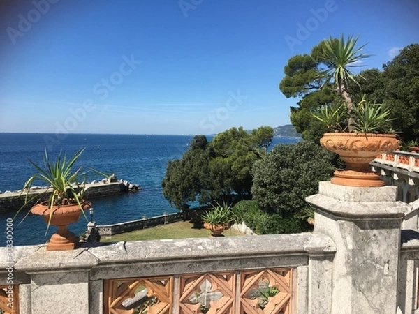 Obraz palm tree on the beach
