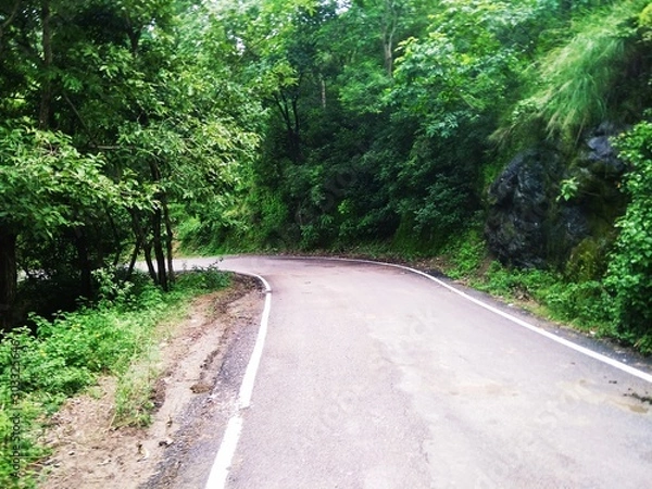 Obraz road in forest