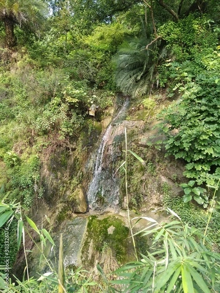 Obraz waterfall in the forest