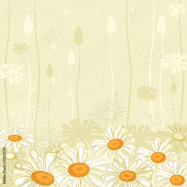 Fototapeta floral background