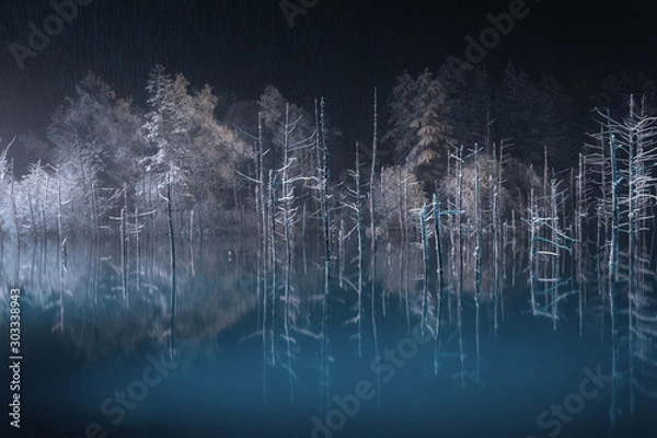 Fototapeta 夜の青い池