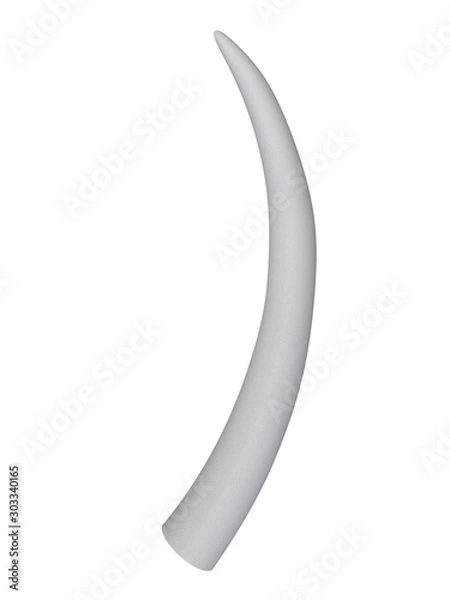 Obraz 3d illustration of ivory tusk on white background