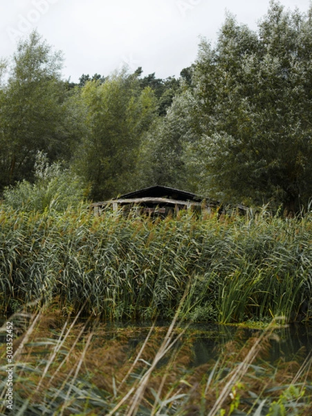 Fototapeta Flusslandschaft