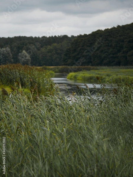 Fototapeta Flusslandschaft