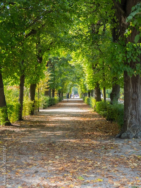 Fototapeta Allée dans le parc de Schonbrunn (Autriche, Vienne)