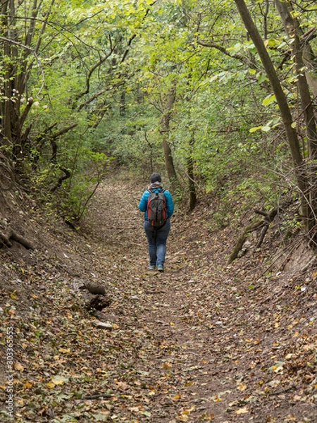 Fototapeta Randonneur de dos dans la forêt