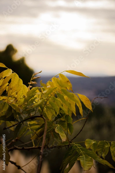 Obraz Beautiful view of a mountain in autumn