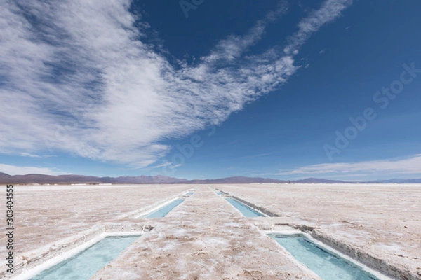 Fototapeta Salar 06