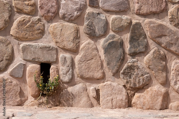 Obraz Pared con ramas