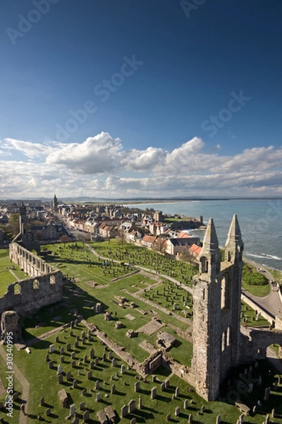Obraz St Andrews from St Rules Tower