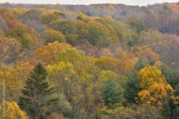 Obraz Autumn in Ohio