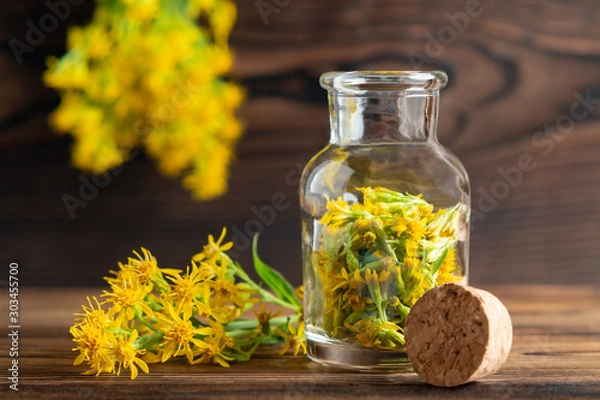 Fototapeta Concept of homeopathy and herbal treatment - solidago virgaurea know as goldenrod in a bottle