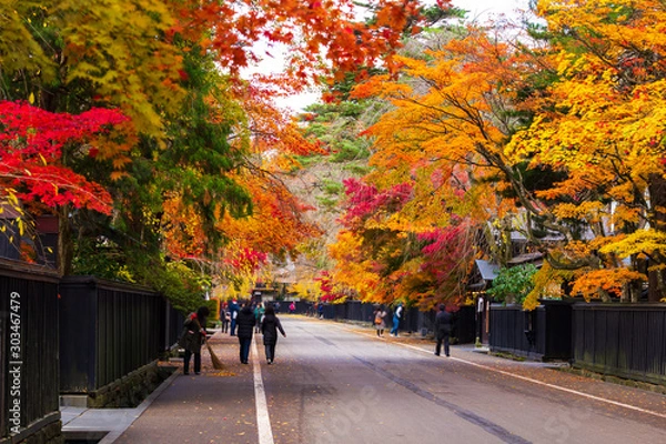 Fototapeta 秋田県角館　武家屋敷の紅葉　秋　風景