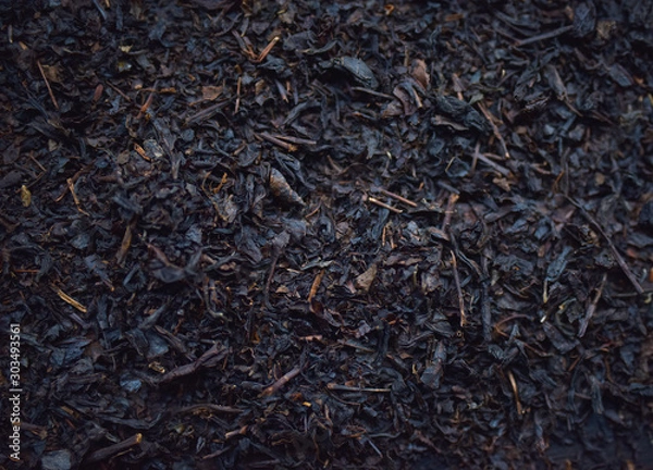 Fototapeta black tea in dark background