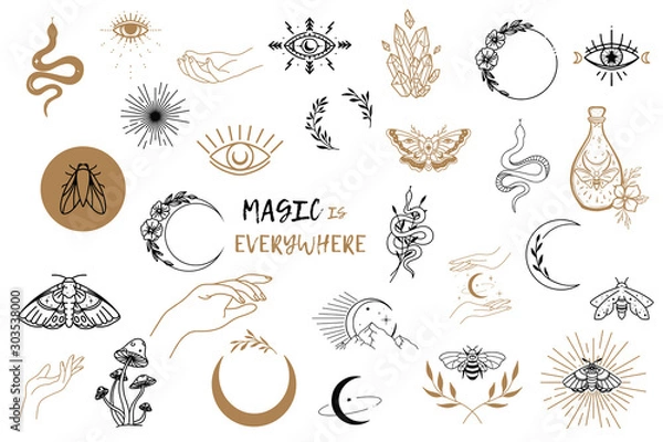 Fototapeta Vector witch magic design elements set. Hand drawn, doodle, sketch magician collection. Witchcraft symbols. Perfect for tattoo, textile, cards, mystery