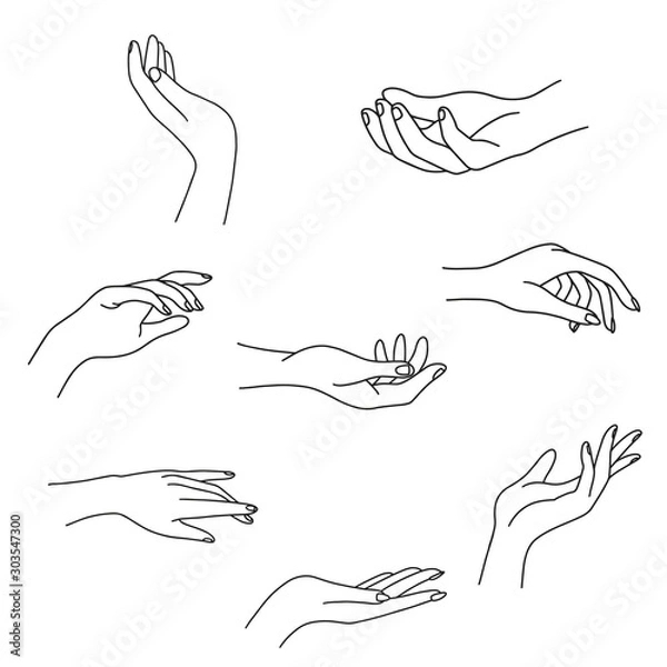 Fototapeta Linia kolekcji kobiecej dłoni. Ilustracja wektorowa kobiecych rąk różnych gestów - zwycięstwo, dobrze. Lineart w modnym minimalistycznym stylu. Projekt logo, krem ​​do rąk, Studio paznokci, plakaty, kartki.