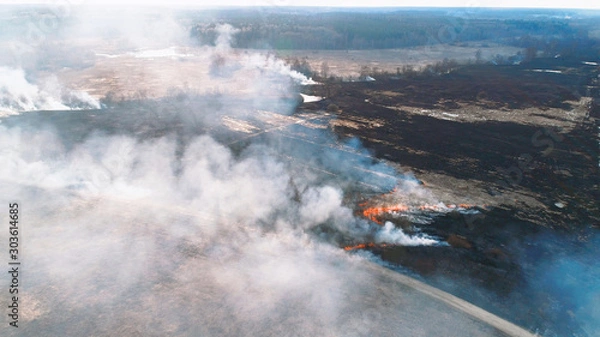 Obraz Forest and field fire. Dry grass burns, natural disaster. Aerial view. Smooth flight over the place of fire, a small stream blocks the path to the fire.