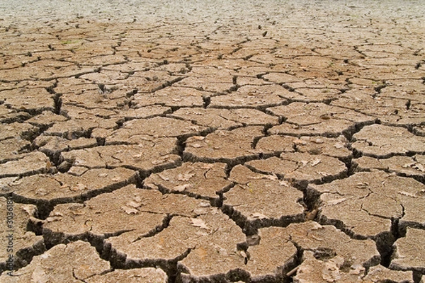 Fototapeta suszona gleba