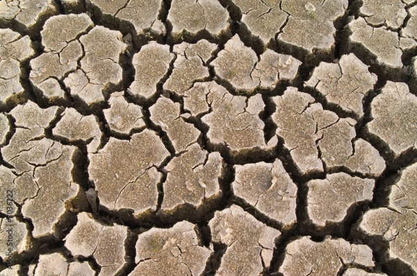 Fototapeta dried soil