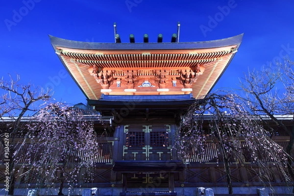 Obraz 湯島天神 (東京・文京区)