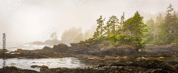 Fototapeta Mglista linia brzegowa Botany Bay na zachodnim wybrzeżu wyspy Vancouver w Kolumbii Brytyjskiej w Kanadzie, a słońce zaczyna przebijać się przez mgłę.