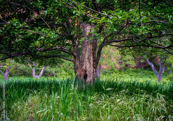 Obraz OLYMPUS DIGITAL CAMERA