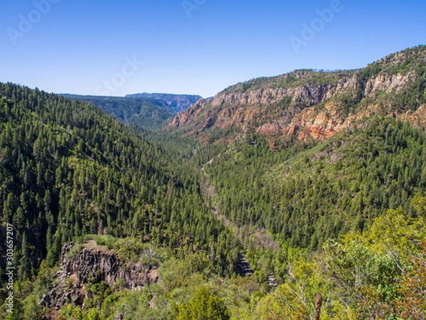 Obraz OLYMPUS DIGITAL CAMERA