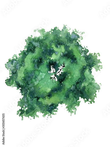 Obraz Deciduous tree crown top view planning