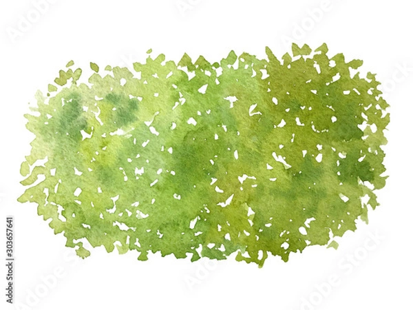 Obraz Green hedge element top view for landscape design