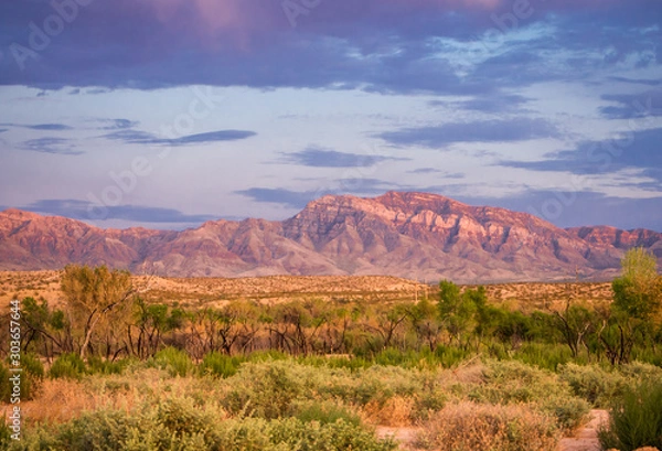 Obraz OLYMPUS DIGITAL CAMERA