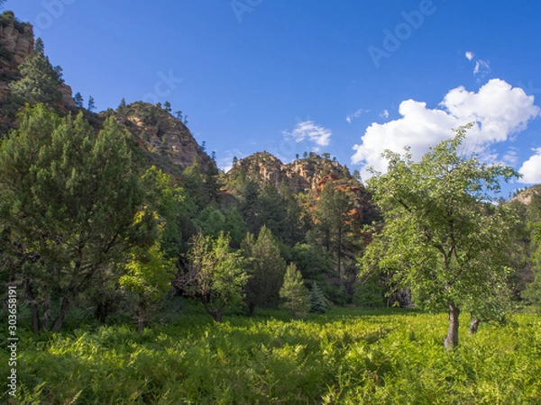 Obraz OLYMPUS DIGITAL CAMERA