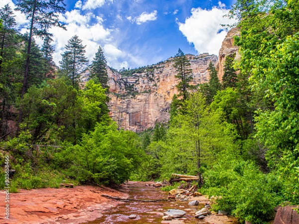 Obraz OLYMPUS DIGITAL CAMERA