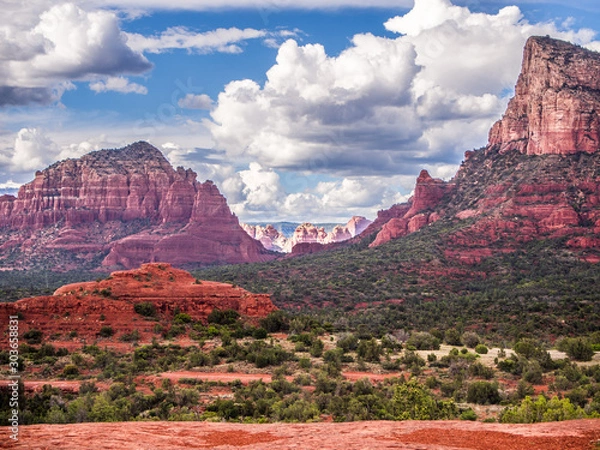 Obraz OLYMPUS DIGITAL CAMERA