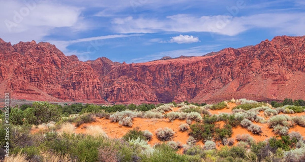 Obraz OLYMPUS DIGITAL CAMERA