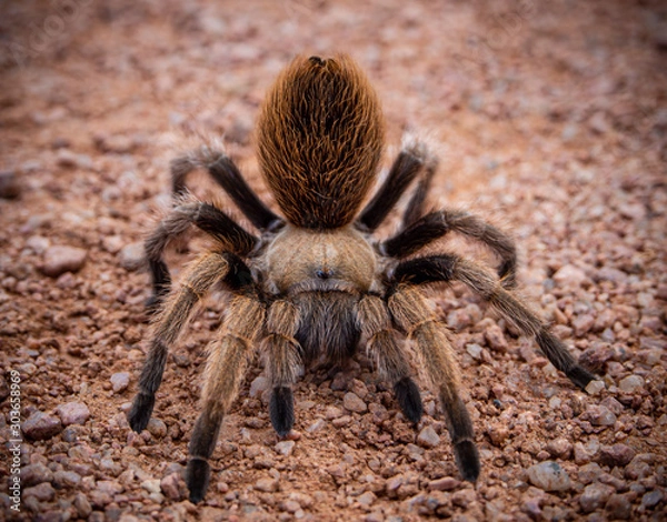 Obraz OLYMPUS DIGITAL CAMERA