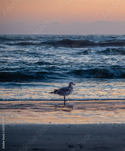 Obraz OLYMPUS DIGITAL CAMERA