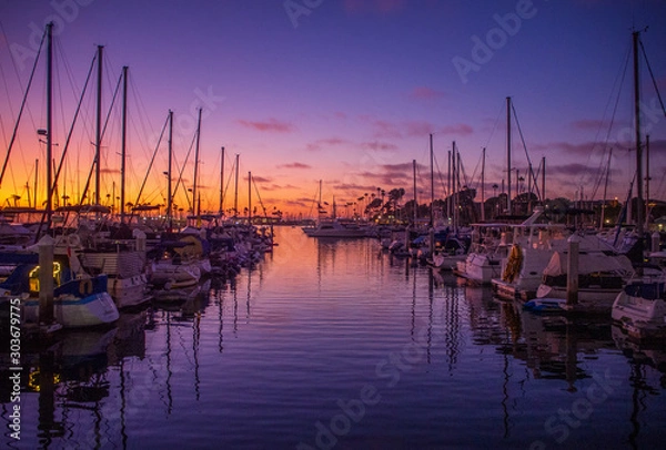 Fototapeta OLYMPUS DIGITAL CAMERA