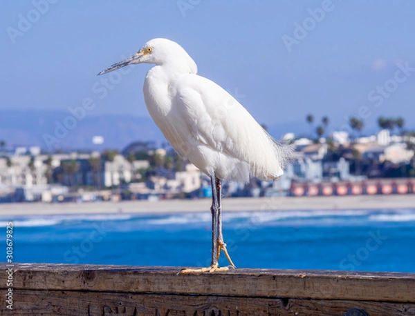 Obraz OLYMPUS DIGITAL CAMERA