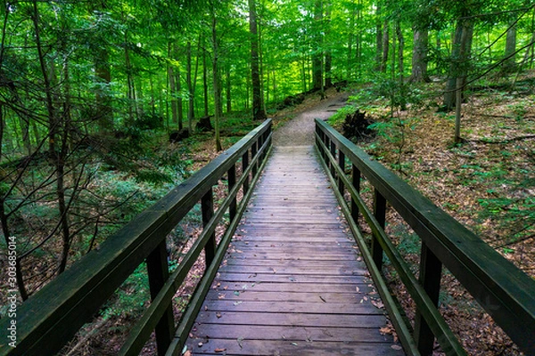 Fototapeta Lead Me On