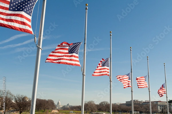 Obraz Row American Flags Half Mast Washington DC USA