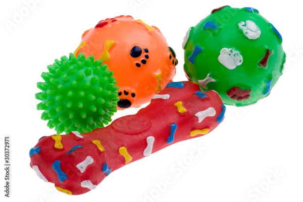 Obraz Plastic toy for dog macro