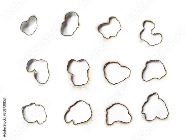 Fototapeta Collection of burnt holes in a piece of paper isolated on white background. Fire holes in white paper.