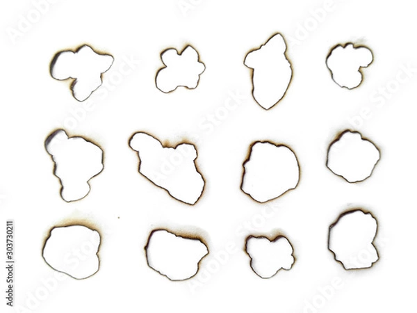 Fototapeta Collection of burnt holes in a piece of paper isolated on white background. Fire holes in white paper.