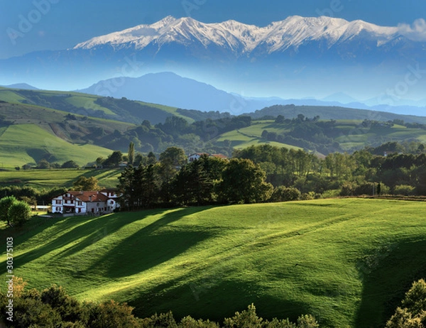 Fototapeta Płaci baskijską