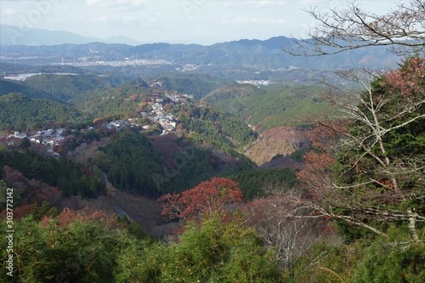 Fototapeta 吉野山　紅葉