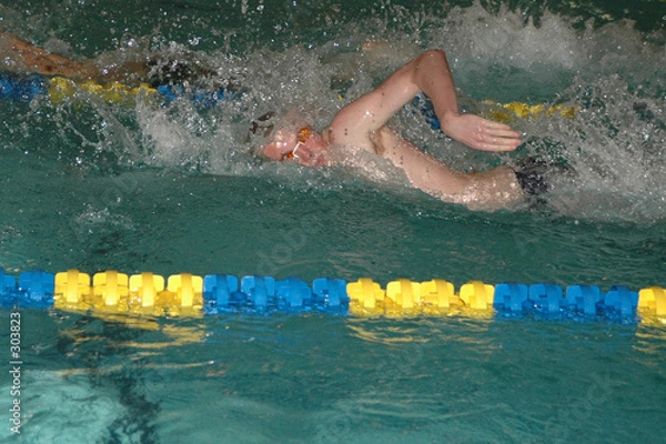 Fototapeta fast swimmer