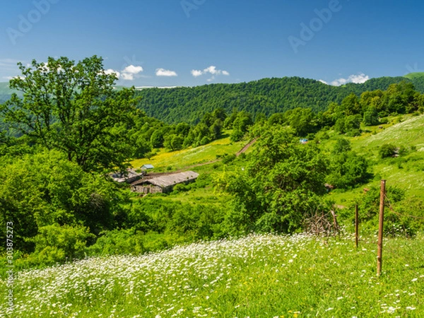 Fototapeta Summer mountain landscape with a farm in a beautiful valley.
