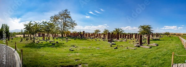 Obraz Seljuq Cemetery 
